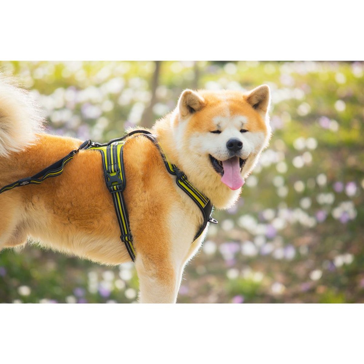 4 Season Power Harness