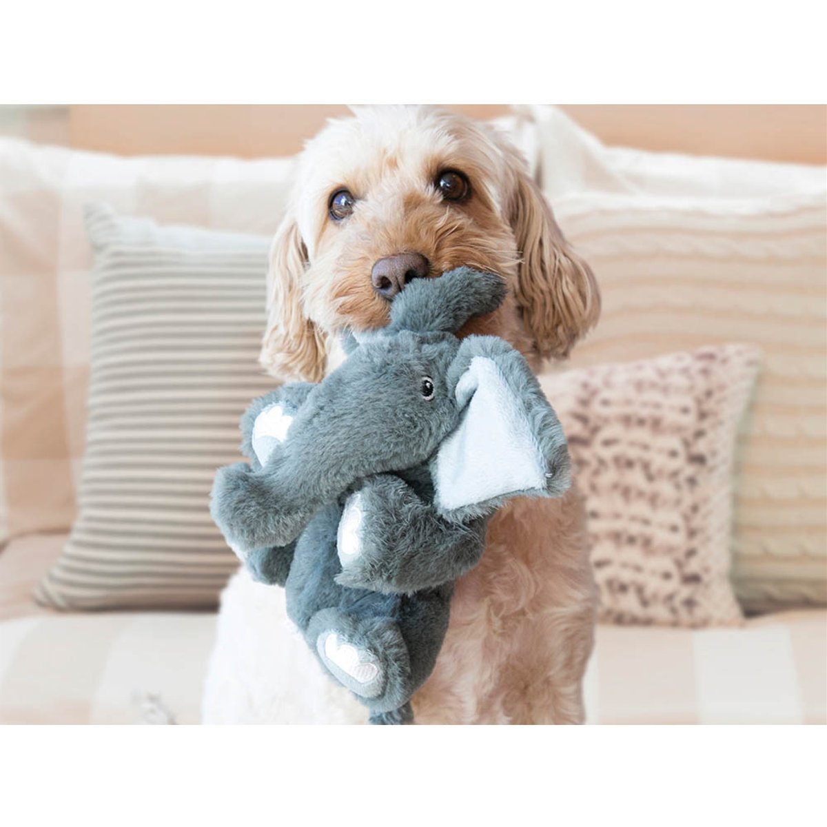 KONG igračka za pse Comfort Kiddos Elephant Sm EU