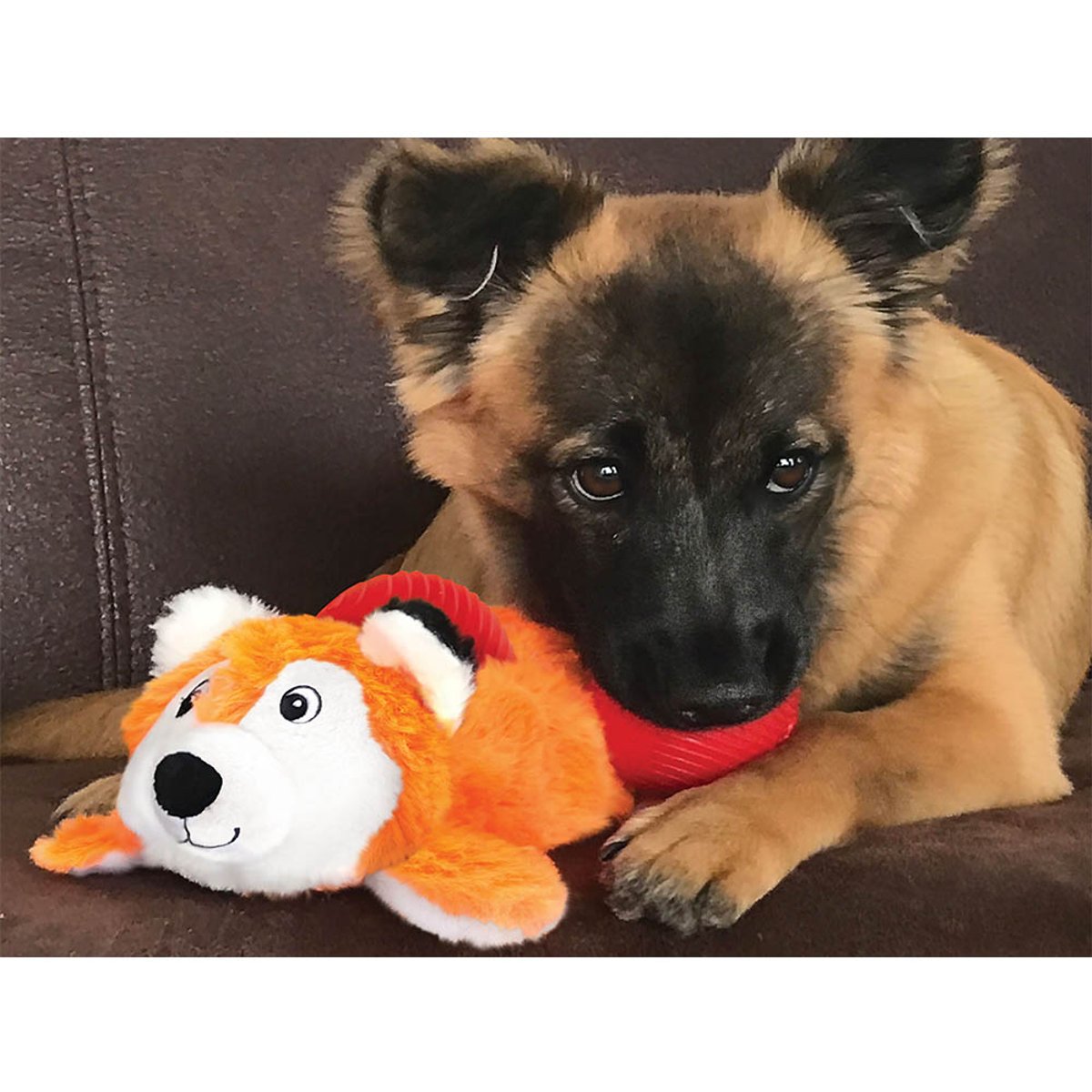 KONG igračka za pse Cozie Pocketz Fox Md EU