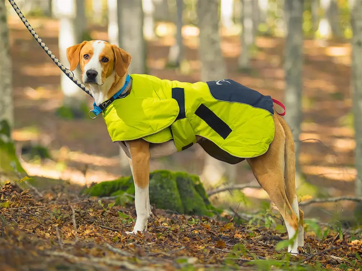 Dog Coat Ice-Olation