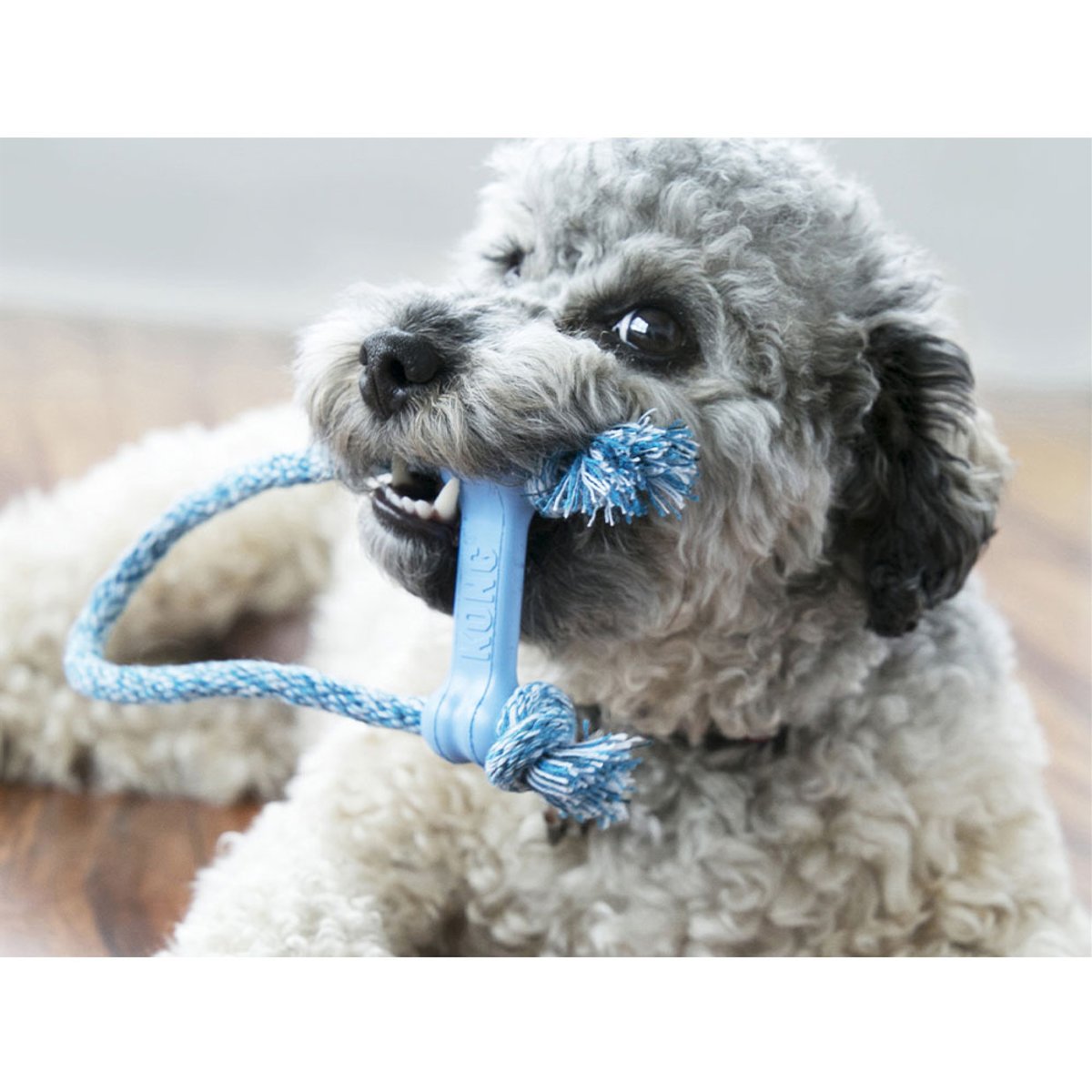 KONG igračka za pse Puppy Goodie Bone w/Rope XS