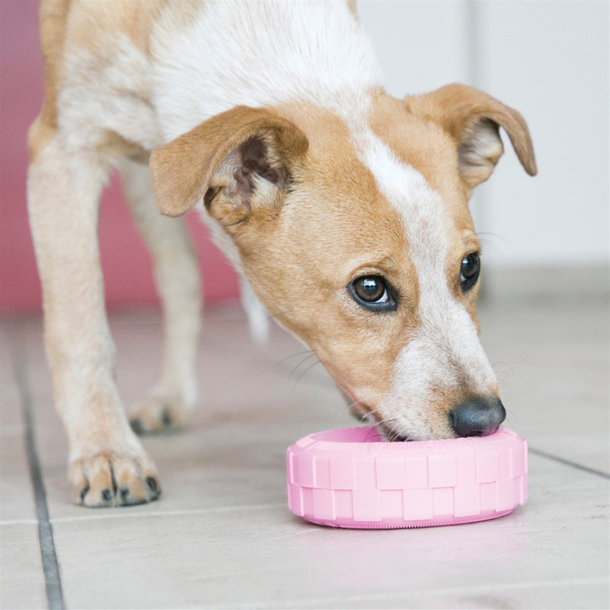 KONG igračka za pse Puppy Tyres S
