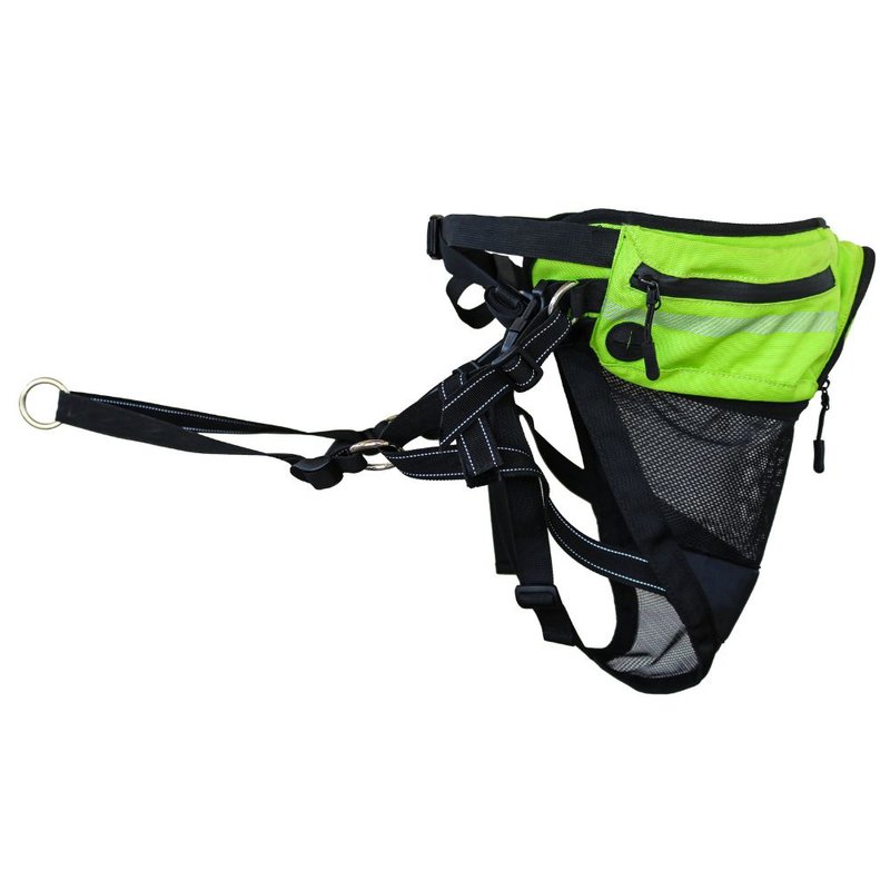 Explorer Belt