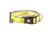 M&M COLLAR KIWI