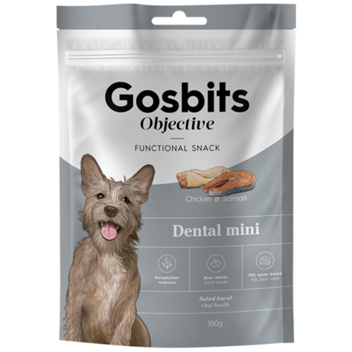 GOSBITS OBJECTIVE - DENTAL MINI