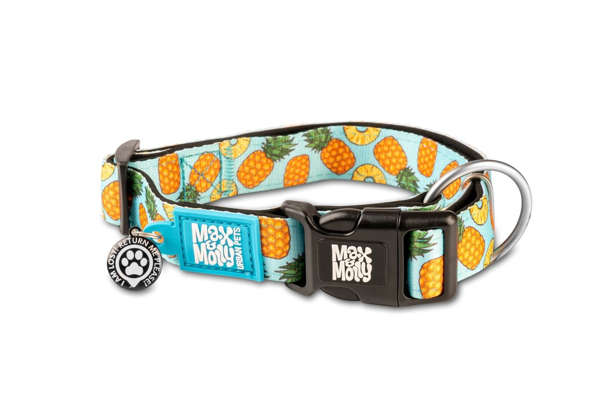 M&M COLLAR SWEET PINEAPPLE