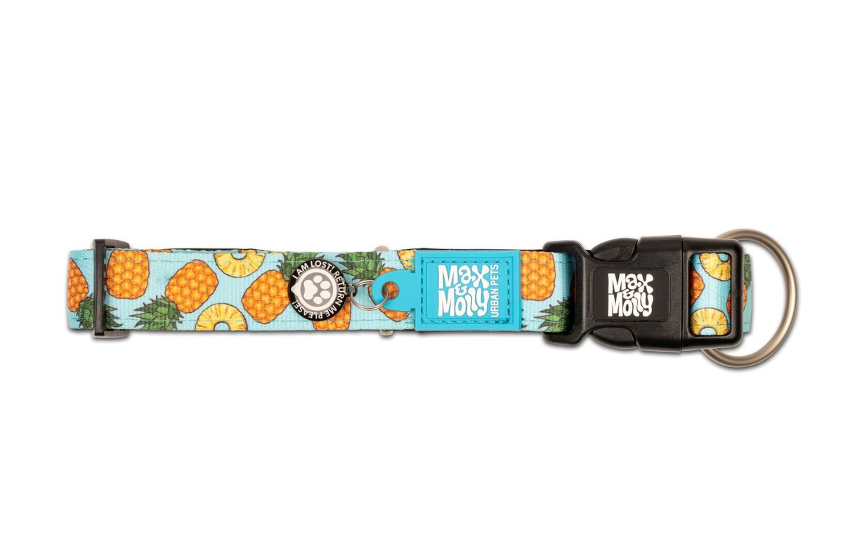 M&M COLLAR SWEET PINEAPPLE