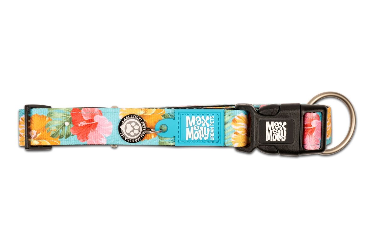 M&M COLLAR EXOTIC
