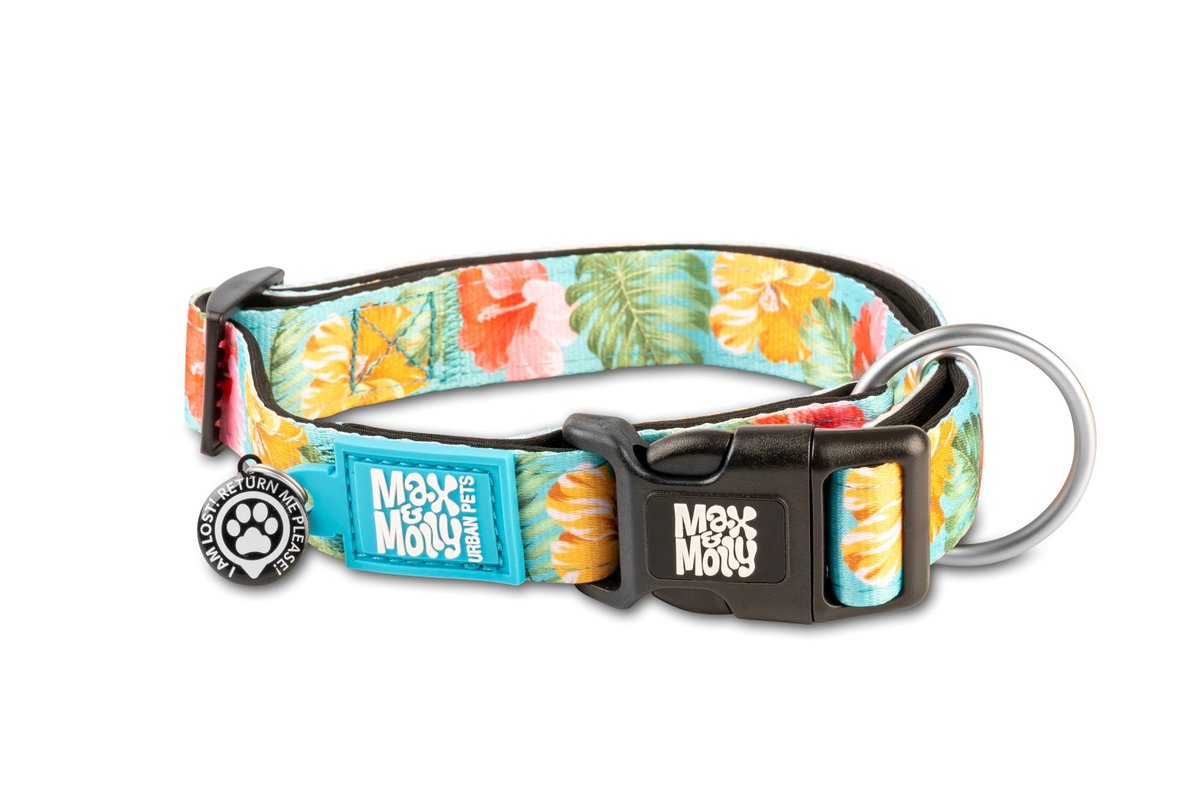 M&M COLLAR EXOTIC
