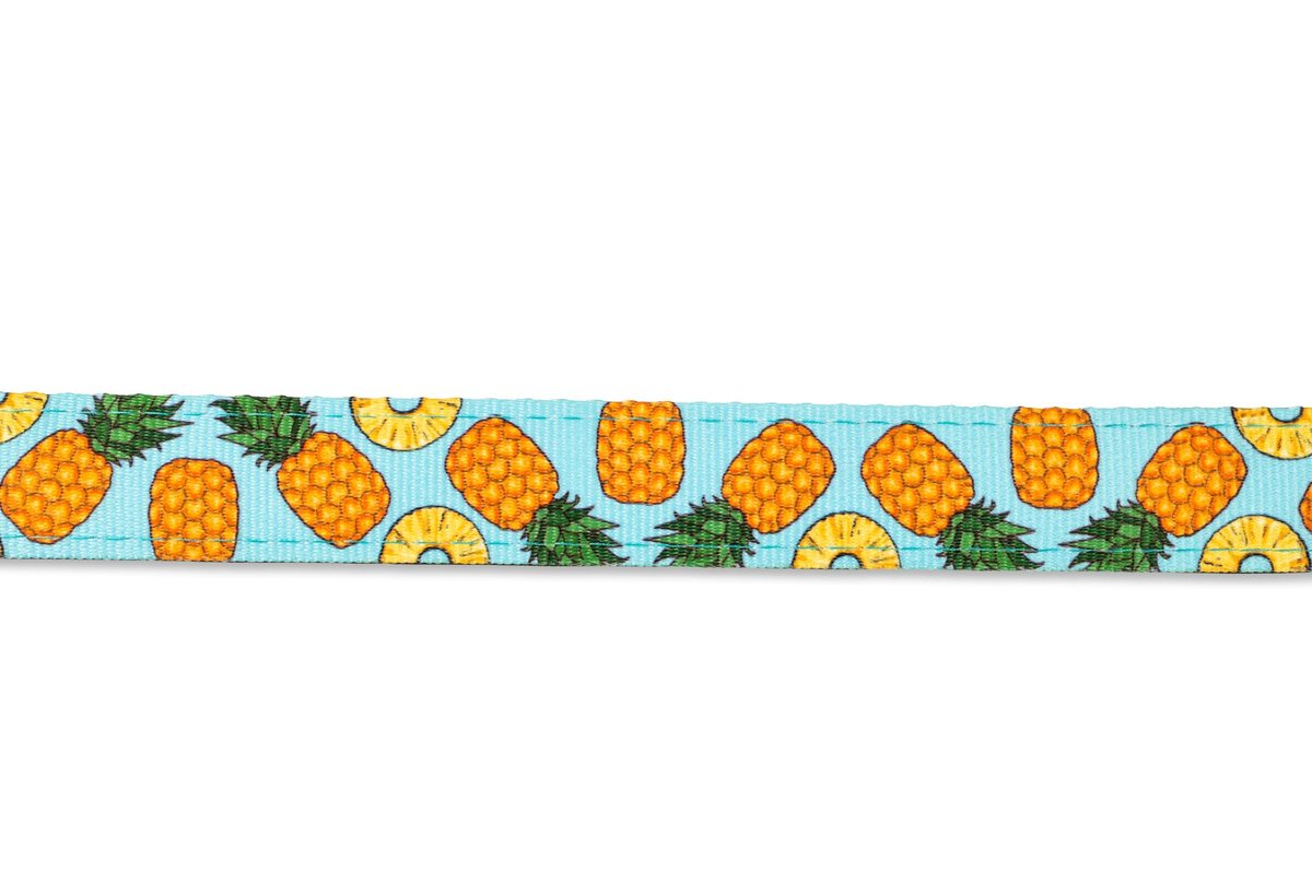 M&M SHORT LEASH SWEET PINEAPPLE