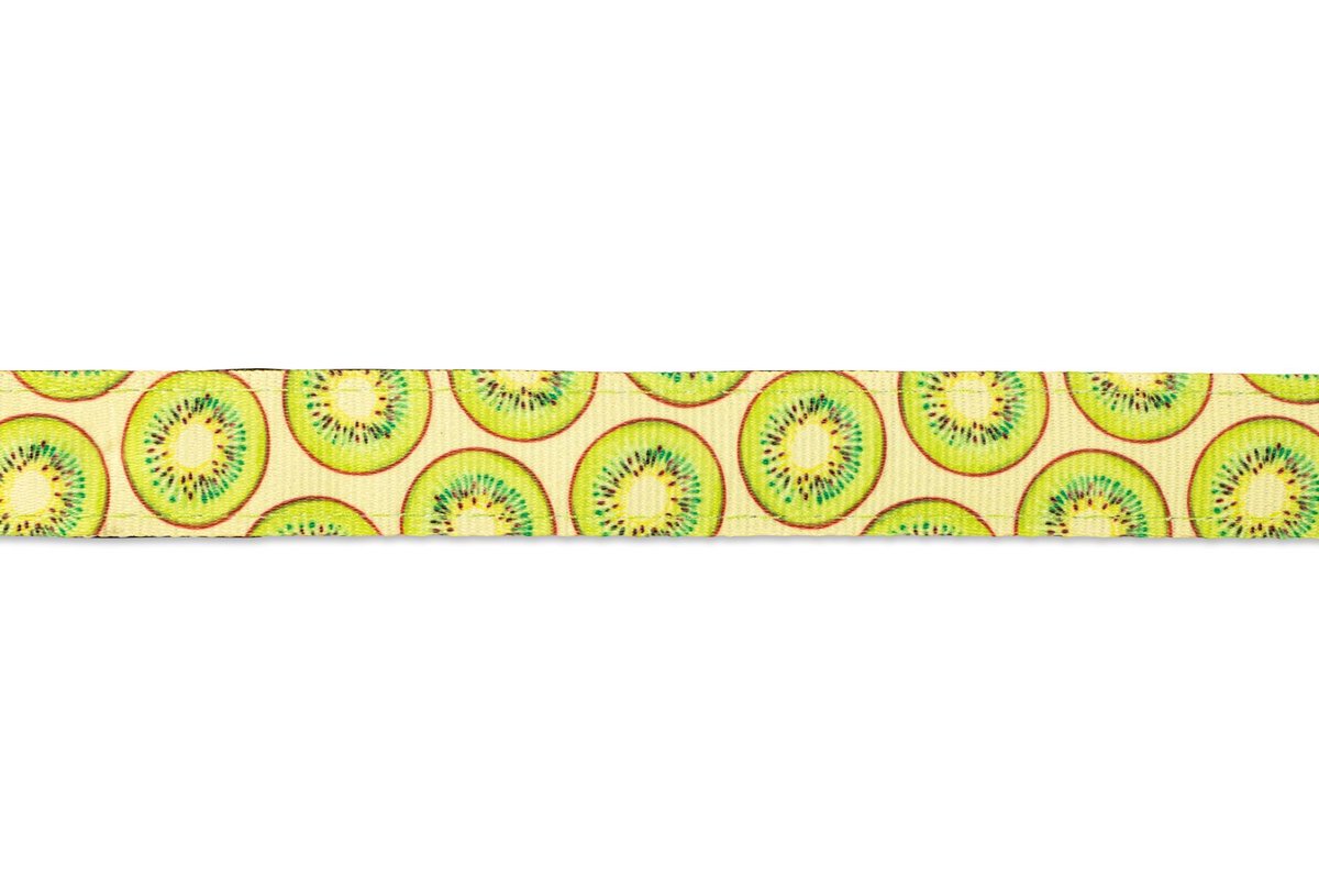 M&M SHORT LEASH KIWI