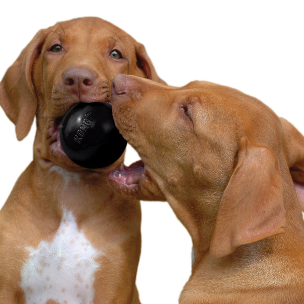 Kong Extreme Ball Small