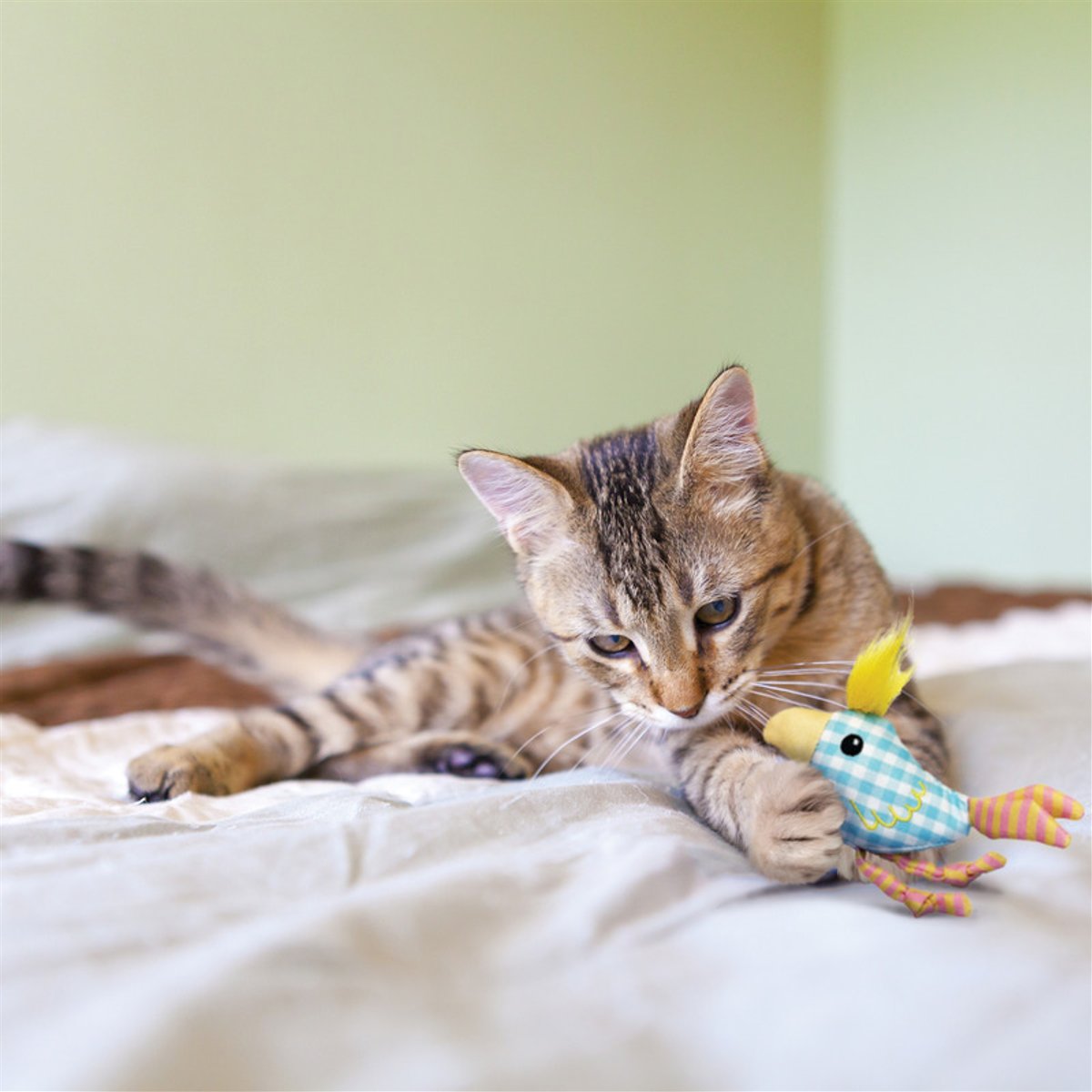 KONG CAT KITTEN CHIRPZ CHICK