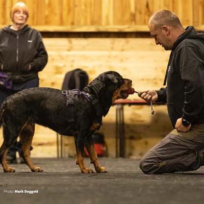 NOSE SPORT powered by KONG